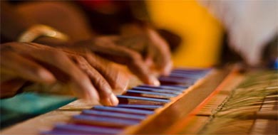 Specialised in Harmonium