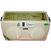 Digital Tanpura- Ranjini +5