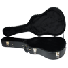 Guitar Case