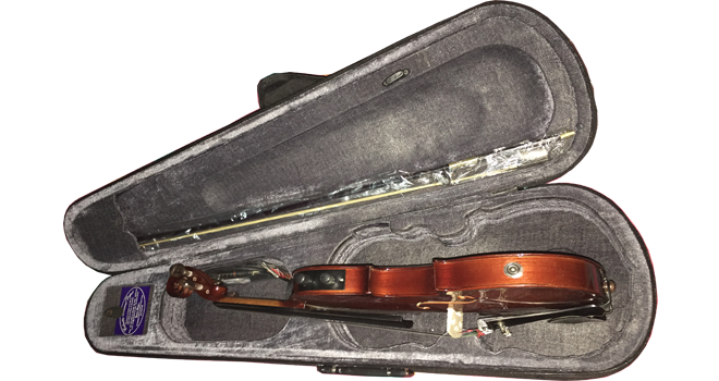 4 Strings Electric Violin