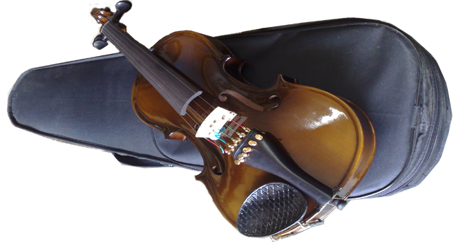 5 Strings Violin