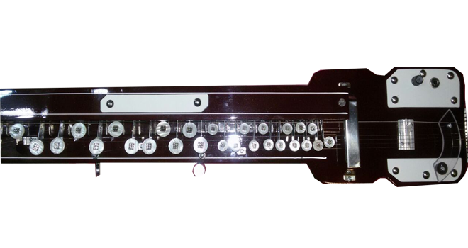 Special Bulbul Tarang