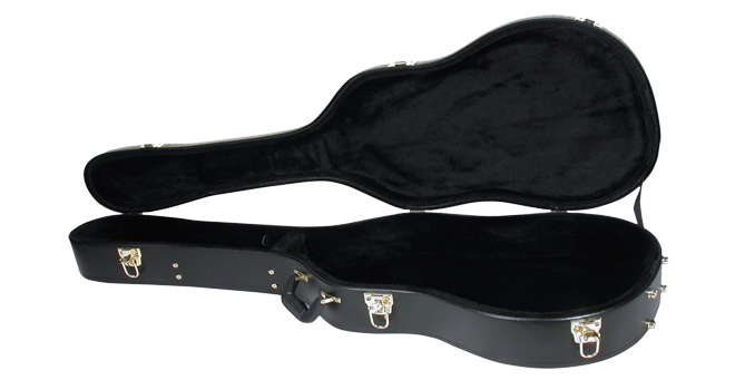 Guitar Case