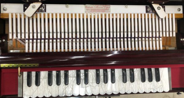 Special Scale Changing Harmonium