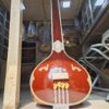 Male Tanpura