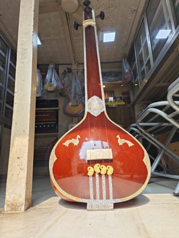 Male Tanpura