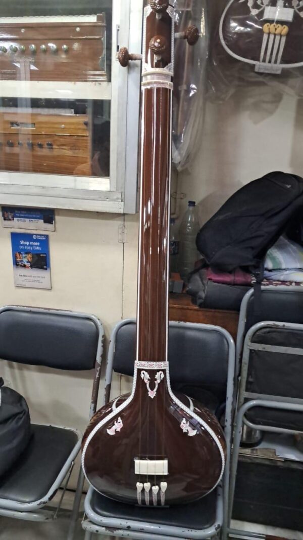 Male Tanpura
