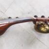 Special Sarod
