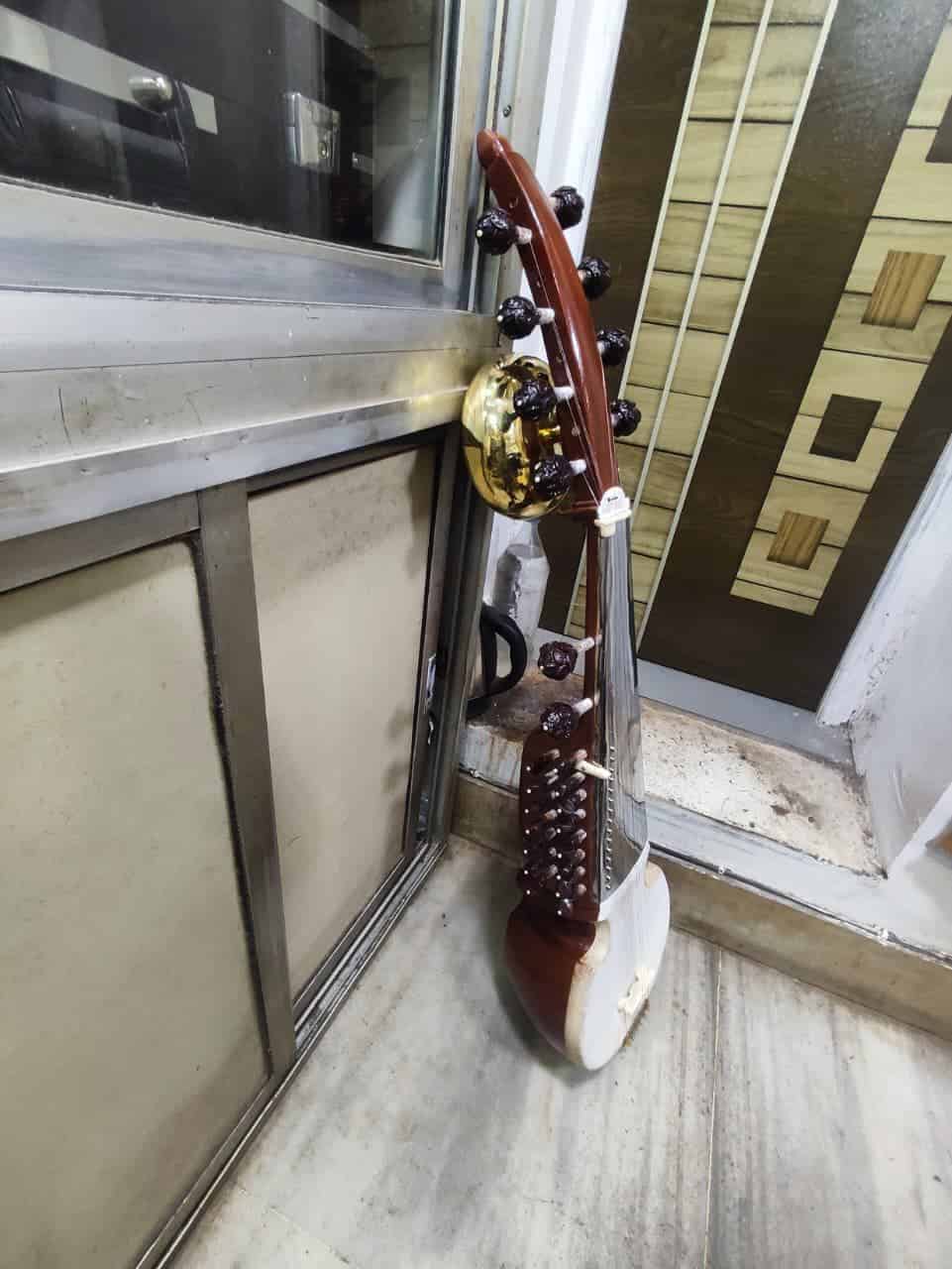 Special Sarod