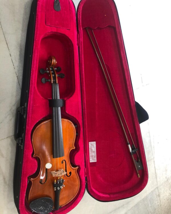 Electric 4 Strings Violin