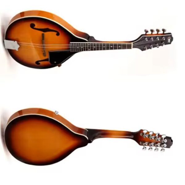 Mandolin- A Style F Cut