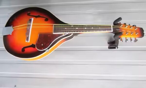 Mandolin- A Style F Cut