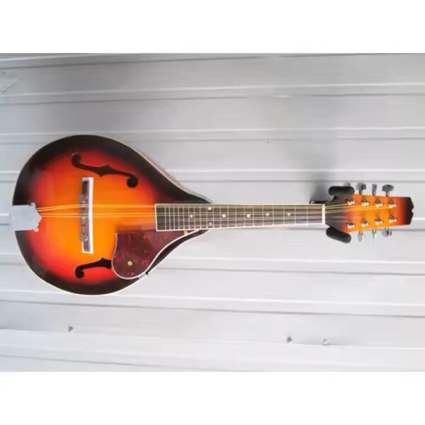 Mandolin- A Style F Cut