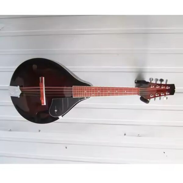 Mandolin- A Style F Cut