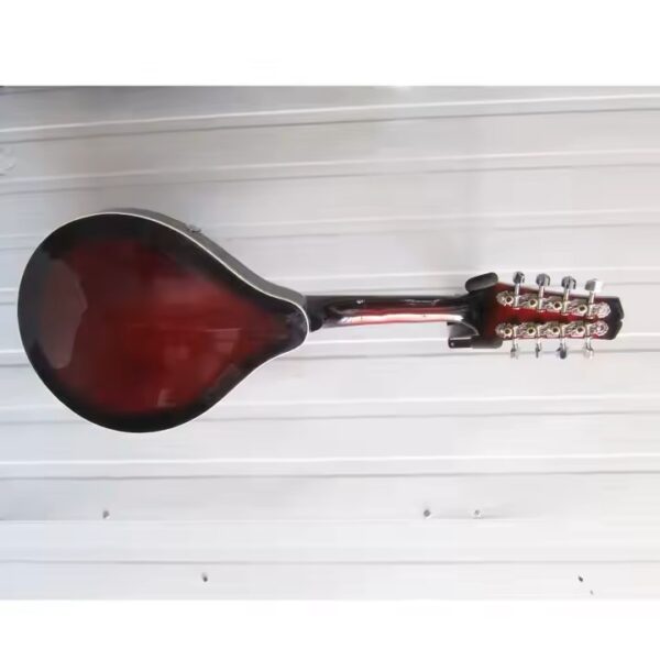 Mandolin- A Style F Cut