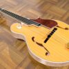 Mandolin- F Style F Cut- Electric
