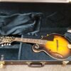 Mandolin- F Style F Cut- Electric