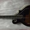 Mandolin- F Style F Cut- Electric