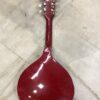Mandolin- A Style Round Cut