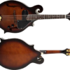 Mandolin- F Style F Cut- Electric
