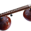 Rudra Veena