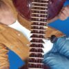 Rudra Veena