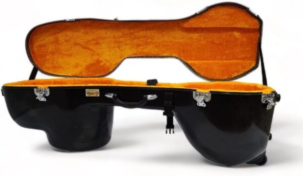 Vichitra Veena