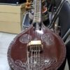 Saraswati Veena