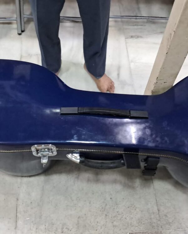 Saraswati Veena