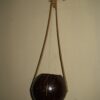 Ektara (Small Tumbi/ Gopichand Style)