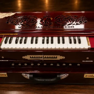 4-set-premier-reeds-scale-changing-harmonium-1