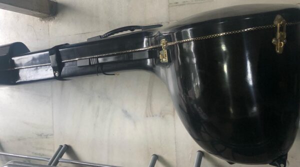 Tanpura Case
