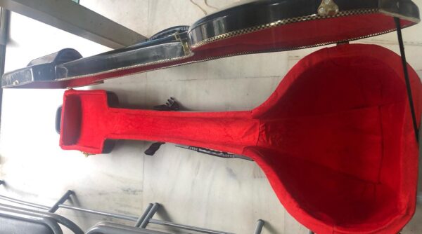 Tanpura Case