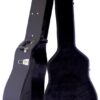 Guitar Case