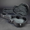 Guitar Case