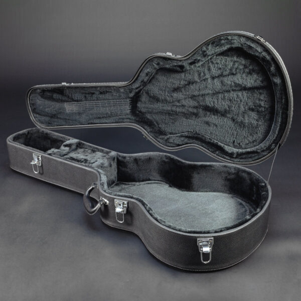 Guitar Case