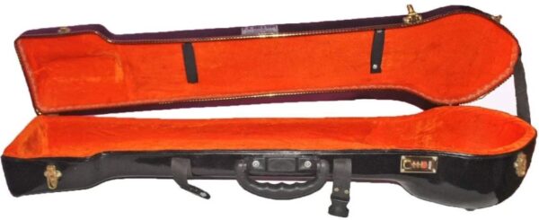 Esraj Case