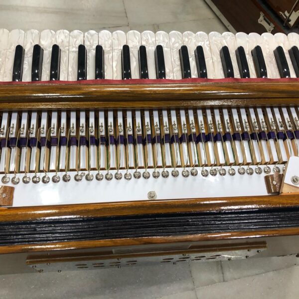 Regular Standard Harmonium