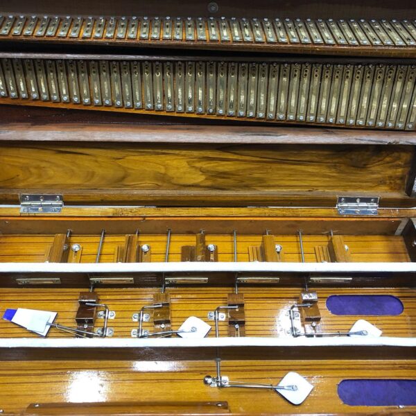 Regular Standard Harmonium