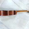 Ukulele