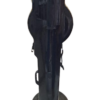 Tarafdar Sitar