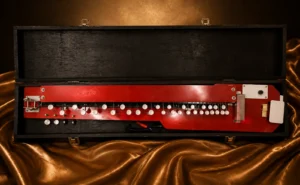 bulbul-tarang-banjo-1