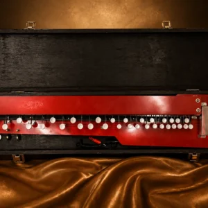 bulbul-tarang-banjo-1