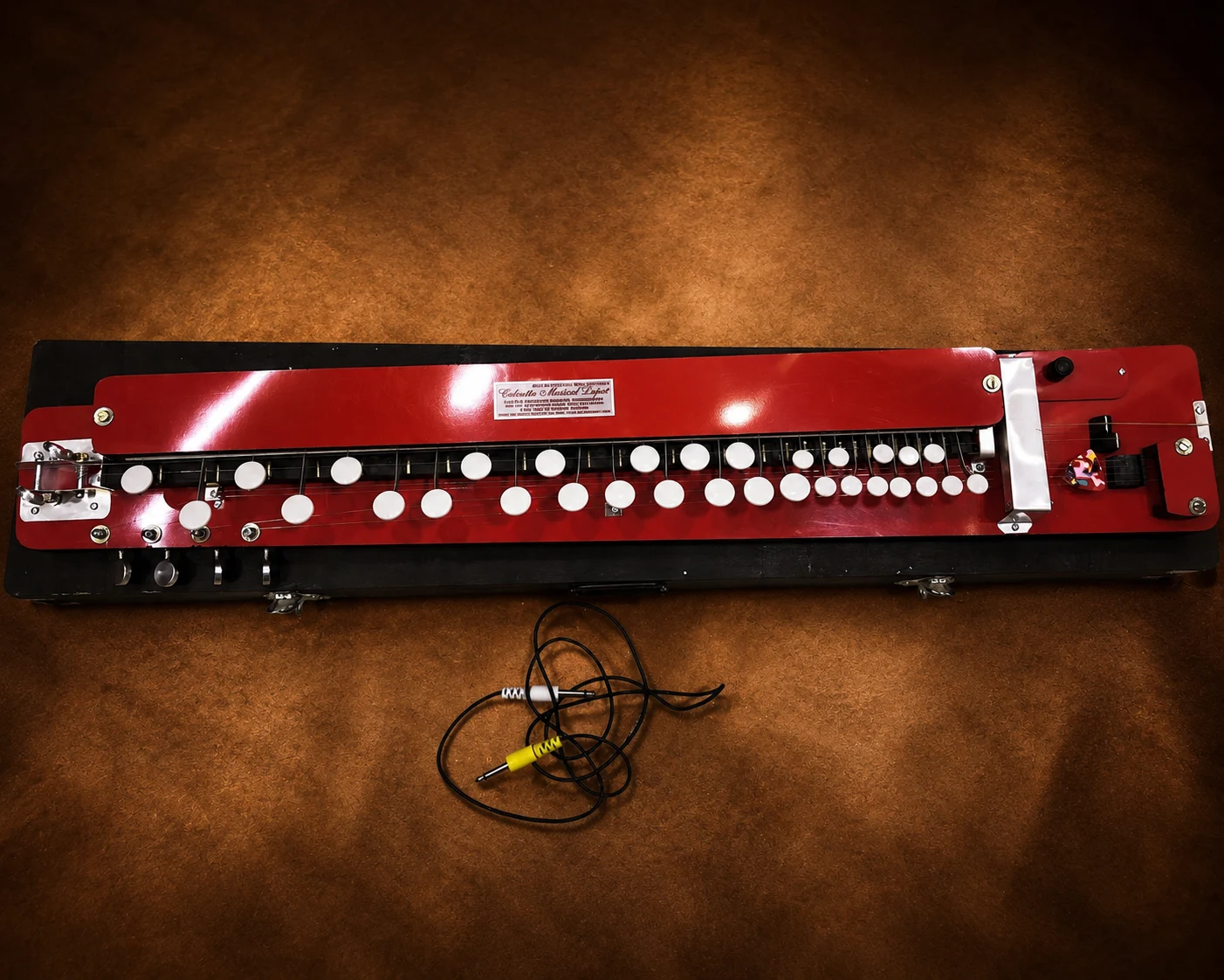 bulbul-tarang-banjo-2