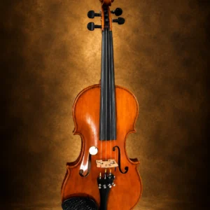 electric-4-strings-violin-1