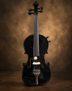 electric-5-strings-violin-1