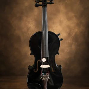 electric-5-strings-violin-1