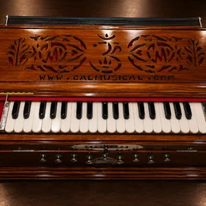 fixed-scale-changing-harmonium-1