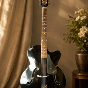 guitar-hobner-1