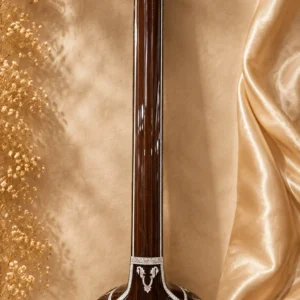 male-tanpura-1
